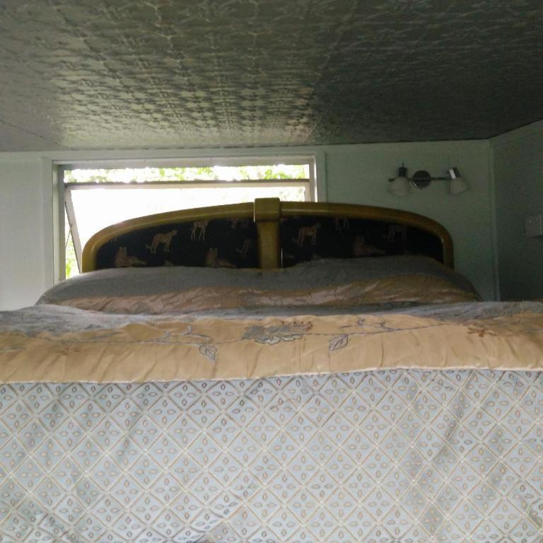 Starry Nights Cabin Fever Waikino Rom bilde