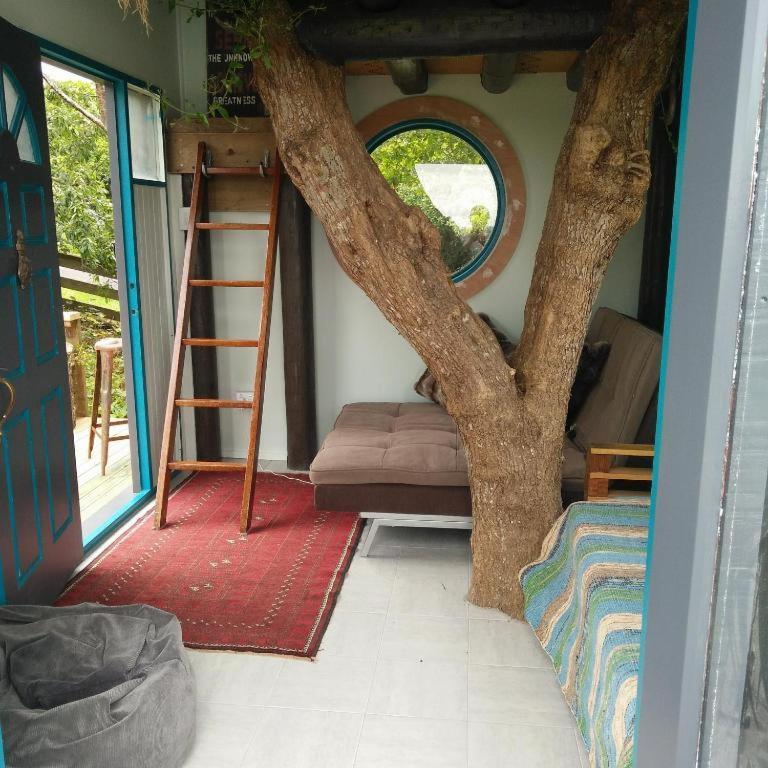 Starry Nights Cabin Fever Waikino Rom bilde