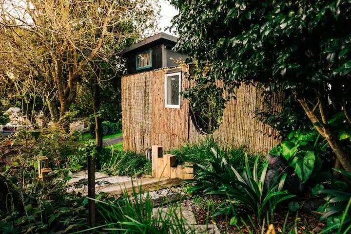 Starry Nights Cabin Fever Waikino Eksteriør bilde