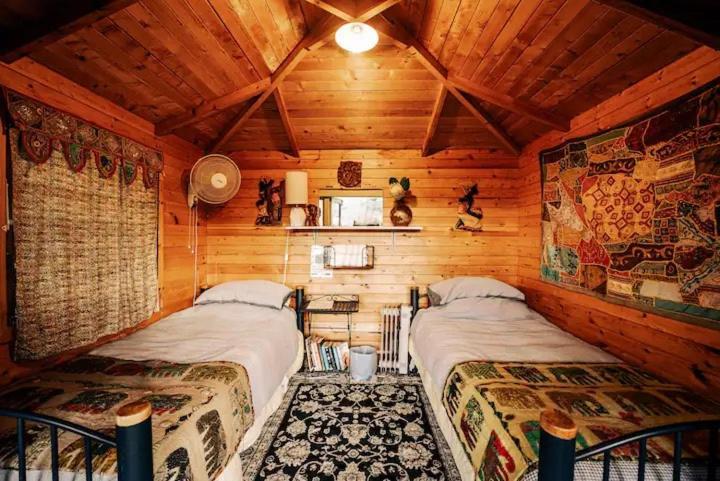 Starry Nights Cabin Fever Waikino Rom bilde